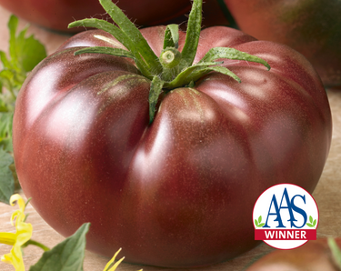 Chef's Choice Black Hybrid Tomato Seeds